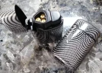 1 x Feuerzeug Gas Sturm Feuerzeuge Jet Lighter Deluxe...